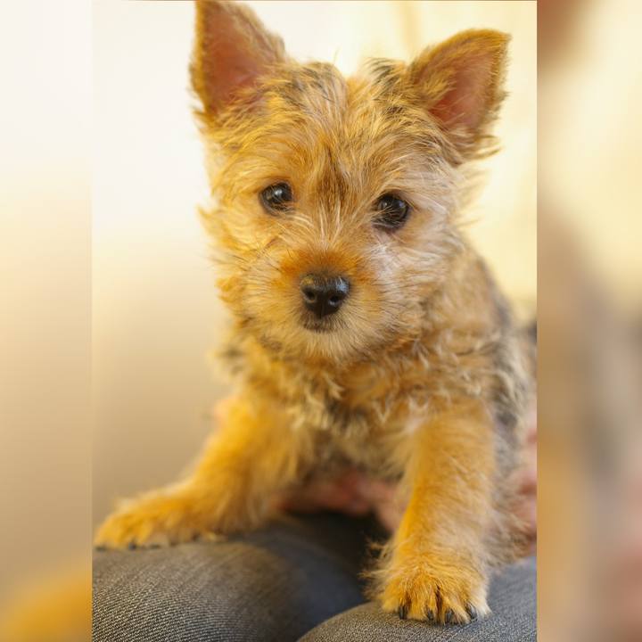 8527a82f 1a17 4c2b 9eef 5002c5263bd8 1657507643451