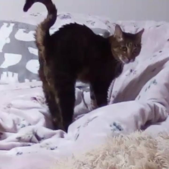 85280525 491f 4312 8869 18c7ce07a131 1708658172220