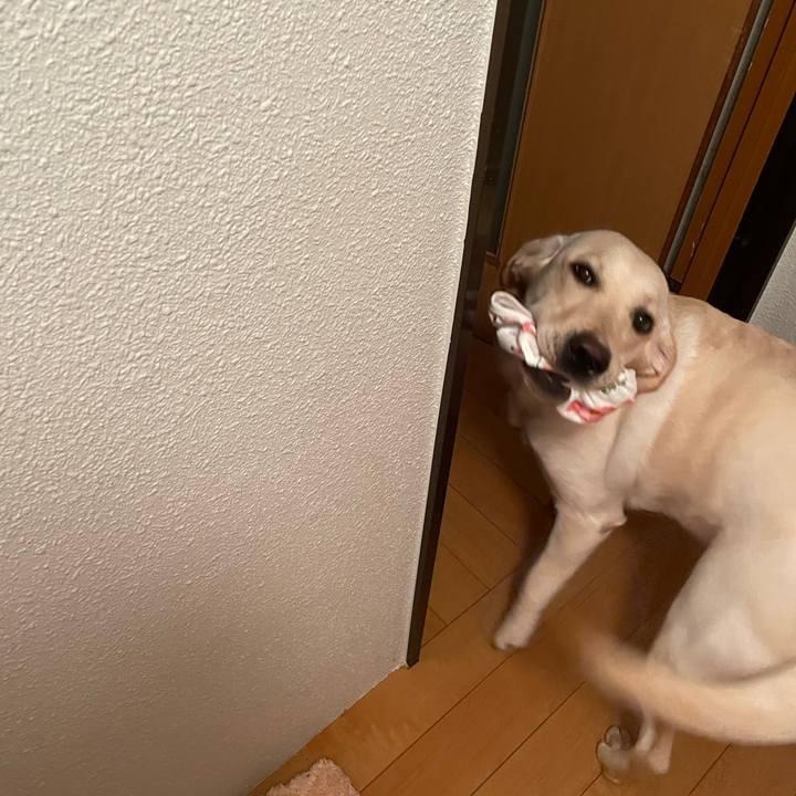 852819f4 75ac 4ce8 ad9b 98f0d4aa8087 1644011795881