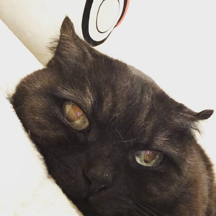 85281e85 f030 4618 a63e dd312eac1d98 1519311793989