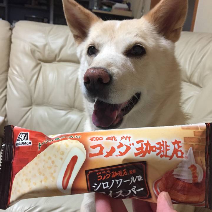 85282915 2098 4a56 85f6 102aac989ce9 1535631553676