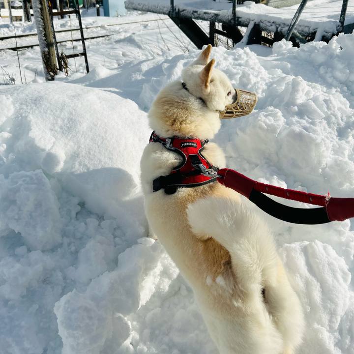 85283351 1fc0 4d3b bbc0 eb377f23c46a 1702775997055