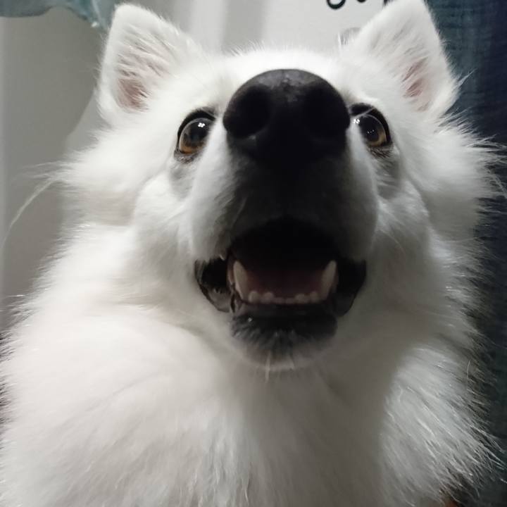 8528795d 47f9 4088 be7f c850826a1a8e 1538228713264