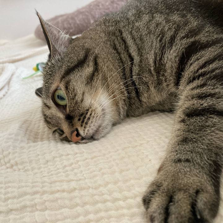 85289d4a 839e 40d7 902a 0a9e934690b1 1756604979579