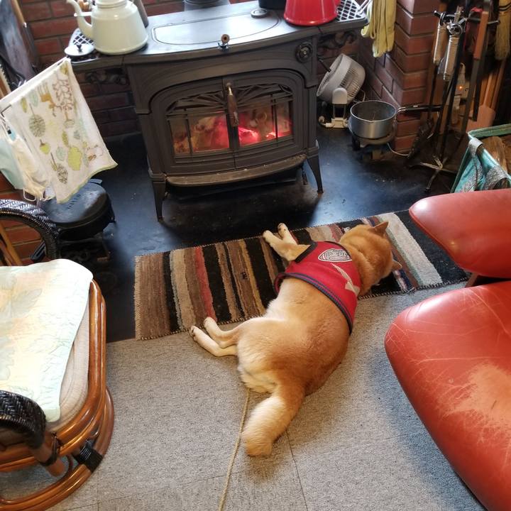 8528a522 23a4 4c44 8418 239678692c98 1609110810404