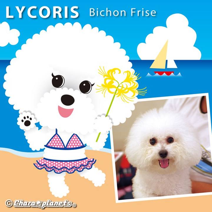 8528d902 8110 4d0f 9f90 31ec5e42cc14 1563767641367