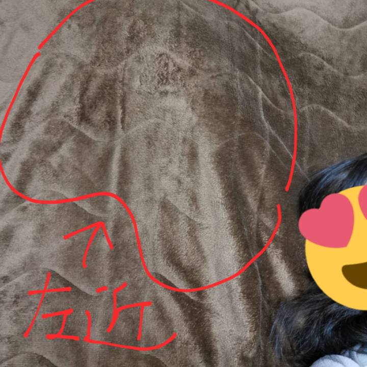 8528e783 b71a 4c88 9706 8056b1dc02ed 1642562522337