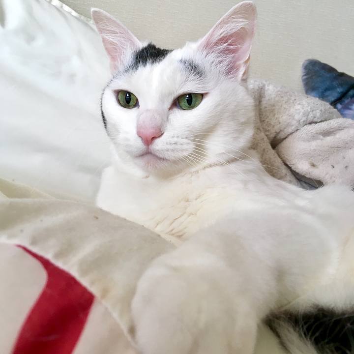 8529158c fdad 4f8d a192 4e83ea77669e 1587710666475