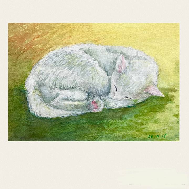 852947da 684e 4c7f 9e4c 70bfd40e414d 1697353412861