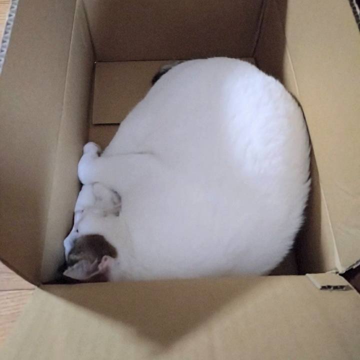 8529523b 0bad 40f4 92a1 f8131f6be6c6 1727439198932