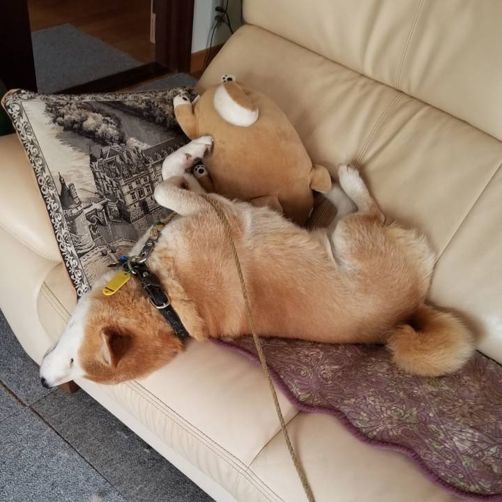 85295bee de3b 408d b64f 82ba4b0d58a9 1627271730534