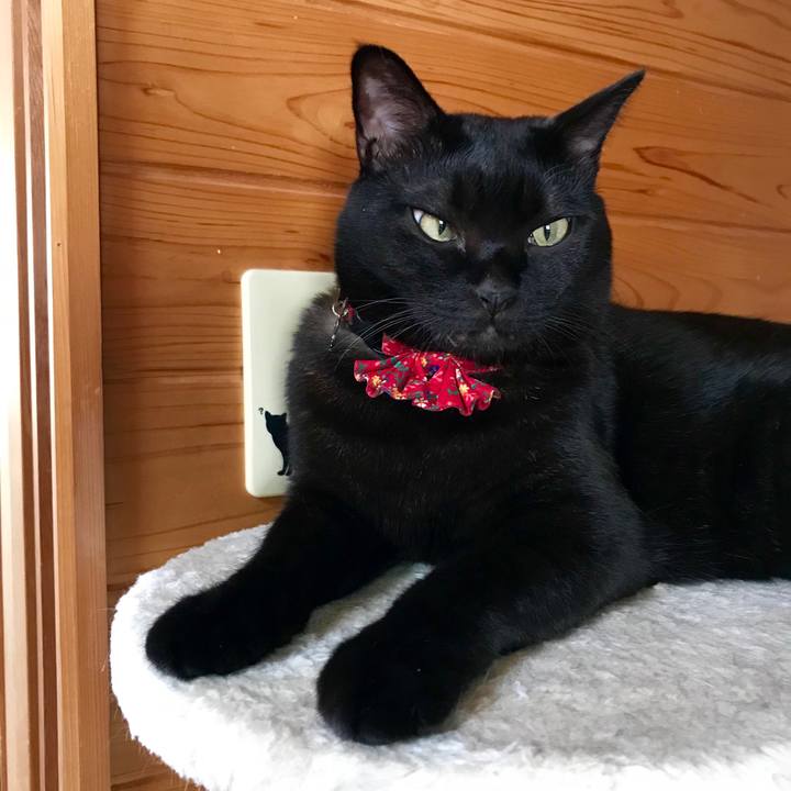 852975c4 8fea 4560 854f 735bf117ece8 1540861939347