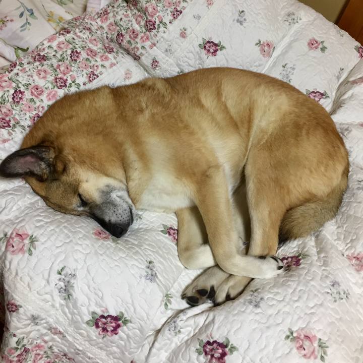 85299513 25af 48a3 be60 706b9a8cb2d9 1586614357839