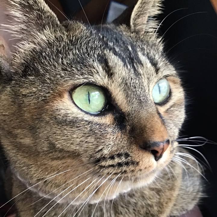 8529c095 dcdd 435a a852 598d726a2aaf 1663404676978