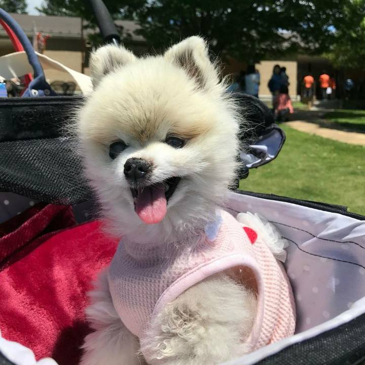 8529eef6 b60a 4e36 b4b5 d9940b830d3e 1529881821525