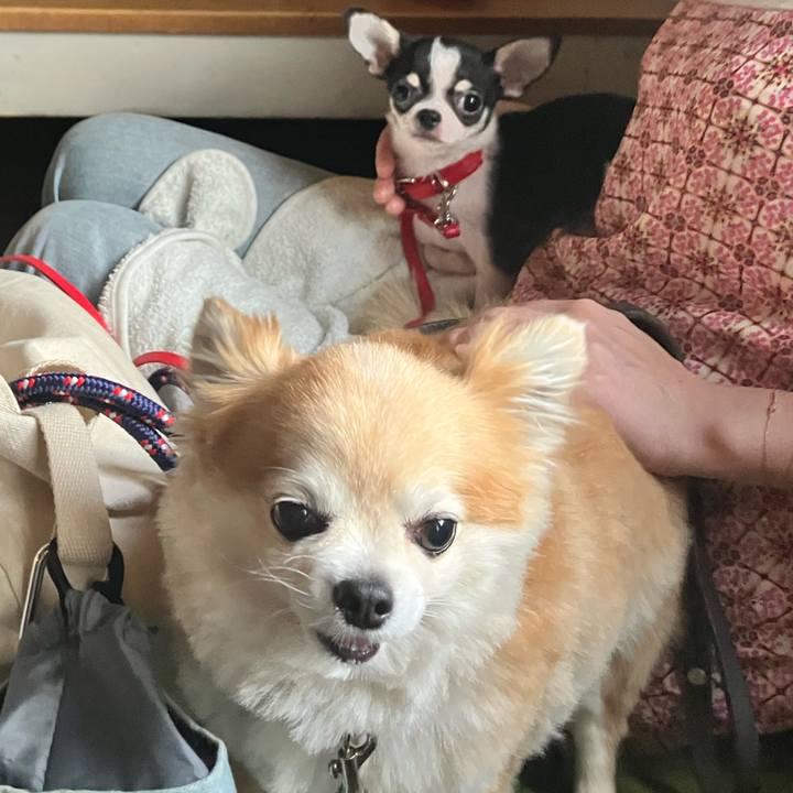 8529f7a2 890b 4302 bf41 91519d444344 1753185679038