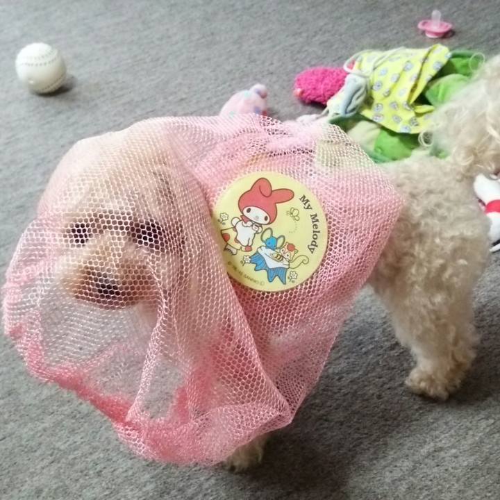 852a16d1 7532 4e01 88fe 1772e17bed49 1535627012494