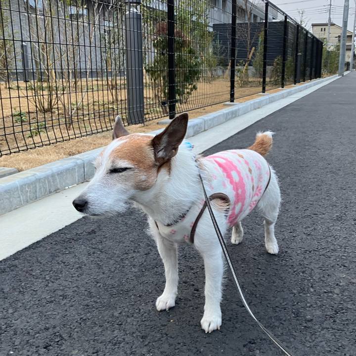 852a70fd c872 40e9 937d ece2589122d6 1678404700433