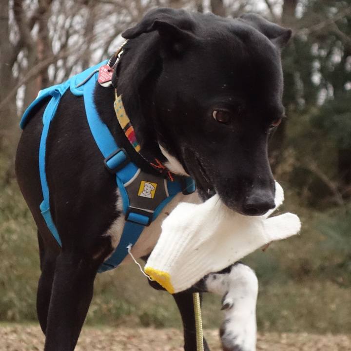 852ac046 7fe3 45f5 975f 310d2175895e 1611792553601