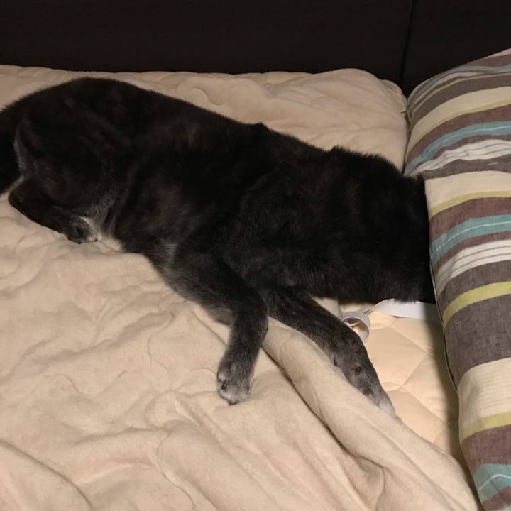 852b0448 56a7 424c 82cc 3b55e0e34ce5 1659586121963