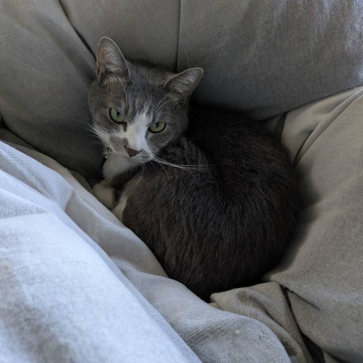 852b0d14 4f13 4102 8c44 27e5fdd07230 1762914365113