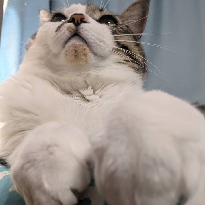 852b18e1 05b2 4326 868e 26cd3a164f3f 1736746436412