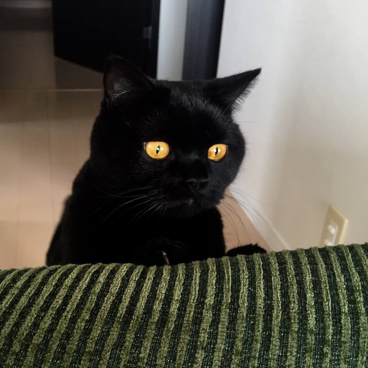 852b4a08 4e65 478e ab68 4fbb52f649f3 1575461650531