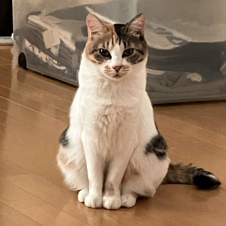 852b4fb1 52c2 4cca b275 3340ee360619 1757978300922