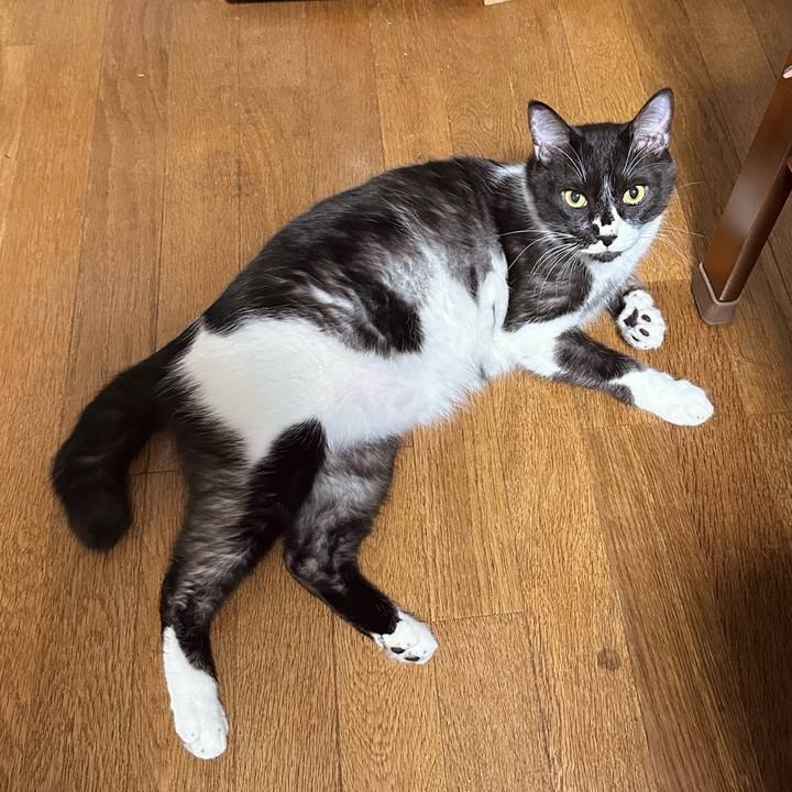 852b59c9 1541 4c21 9096 6b83e23832b7 1767085841247