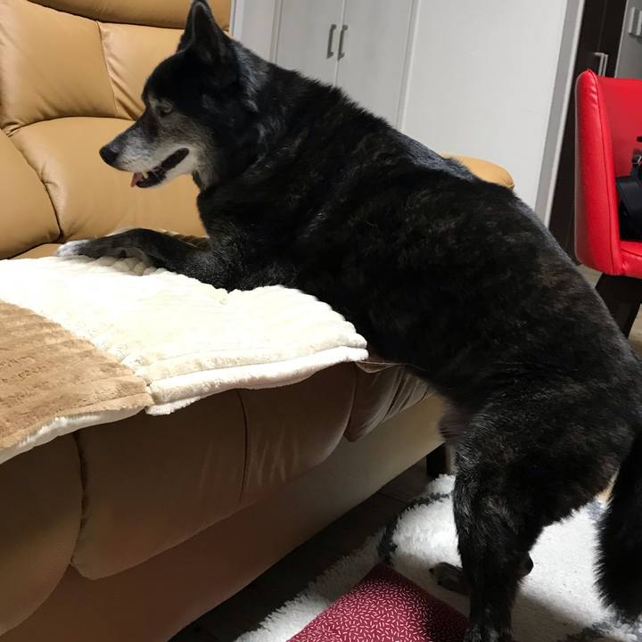 852b6600 85d3 4079 968b 919450f96c88 1644024051375