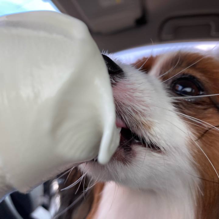 852b93ed bc04 4f44 acba 8f3929343329 1630816983753