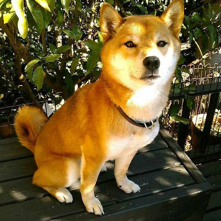 852ba123 8974 436e 9af4 fe9f22b79a85 1550466503914