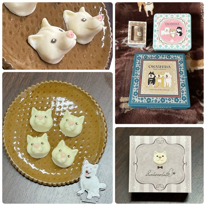 852be0e4 2caa 4f74 b96b 32fffec962a3 1771070548444