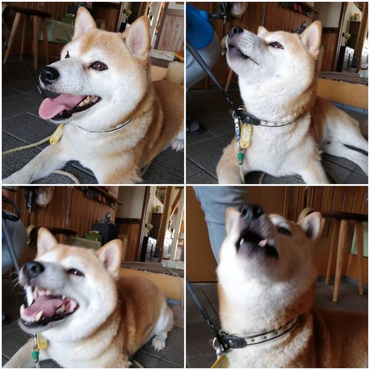 852bf378 3256 4228 b3ca eb629c0bfee7 1593247453897