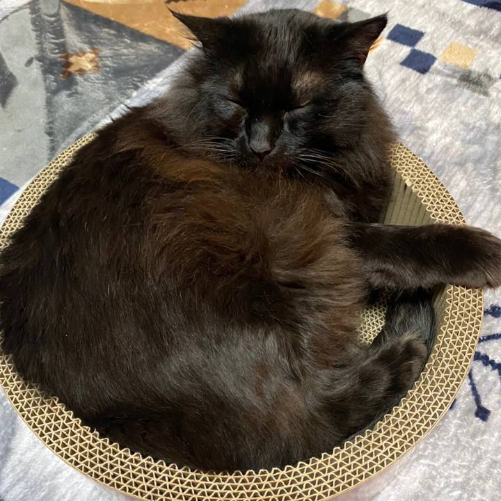 852bfabe f11e 4ab6 9693 2ed4f55d2117 1581425681796