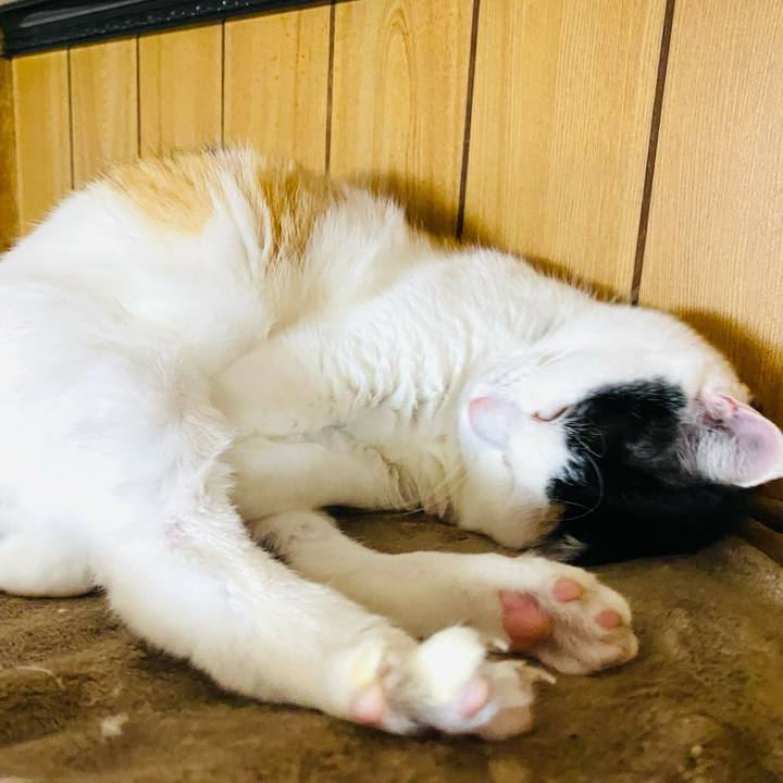 852c4756 ba03 450b 8813 1e77d3848240 1675893866792