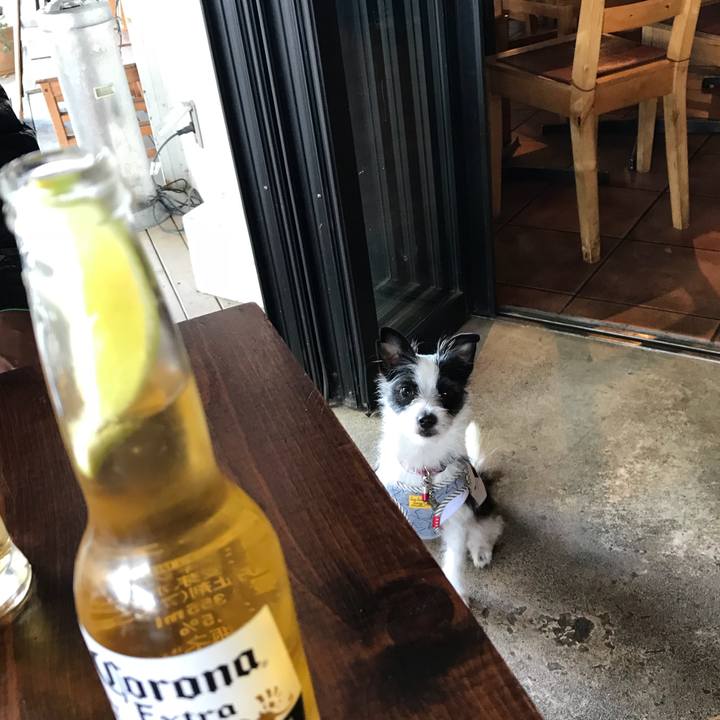 852c7d9d a9b8 4c6d 9557 59c5305d09ac 1522558828098