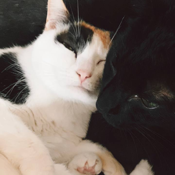 852c86bc 14ea 4987 9a60 3cb39038a6d8 1557020526597