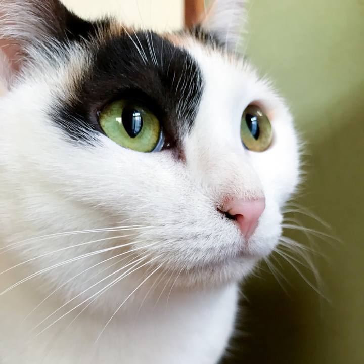 852c87c7 dc08 453b 83f3 c4d125a3e7d2 1515803898191