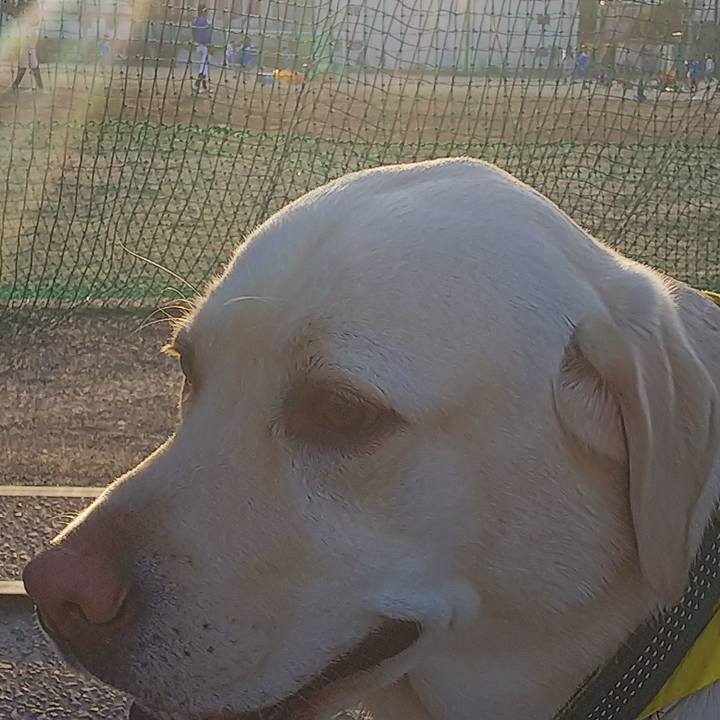 852cb77b b953 4b7f a057 d7b93b763fe4 1521105130639