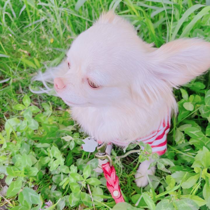 852cd0ad f9c5 4fc2 a90f 507717bd853a 1682590069542