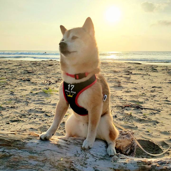 852cdb7f 1bbf 4ebf b6b6 f223142e3dd9 1683420019982