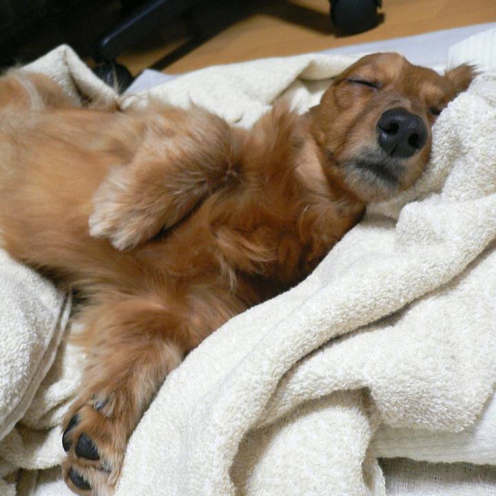 852d1f6a 0ecc 4522 9e52 9d1088beb6f6 1530986242242