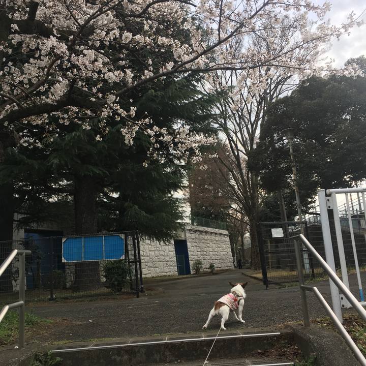 852d52da 0a38 4125 b4a3 eea38cd370ab 1616628338805