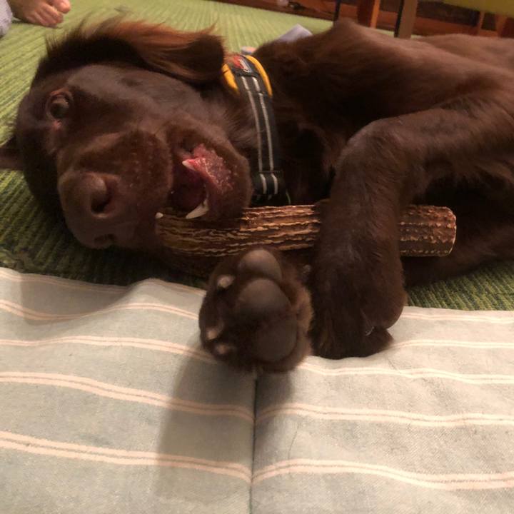 852d7b17 398d 4203 8cef 22580955028a 1583138779472