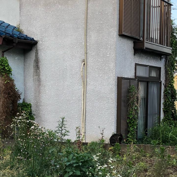 852d8290 c718 4ddc a84a c5ff178d3072 1589714176700