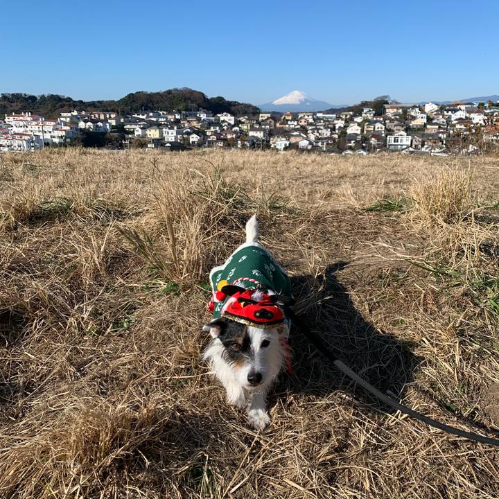 852dad64 4126 442b 982d 47cdf75ec829 1672538331940