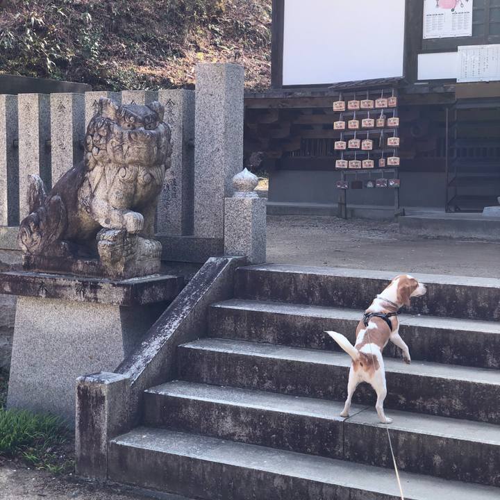 852db2c4 d6c8 486c 84a0 410537fcf634 1586682951075