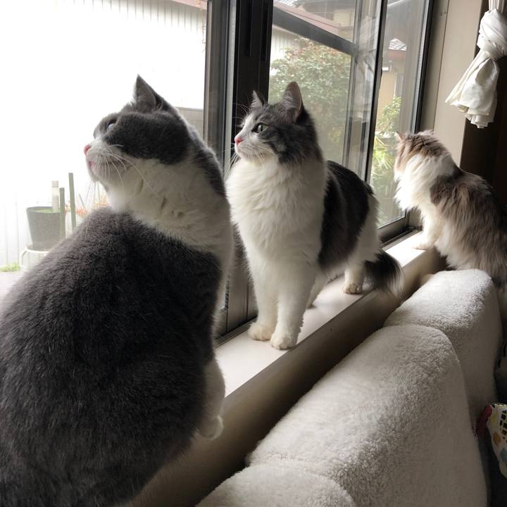 852dbccd abae 49e8 9195 8c7fdbf3ffb3 1550841458808