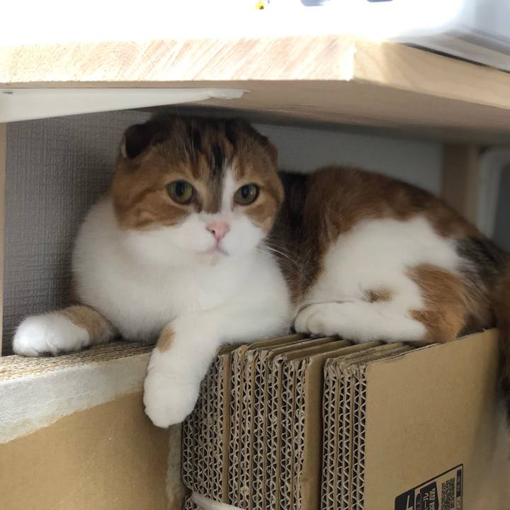 852dc1df 884f 4fb0 bfbf 86cfd69dc125 1562161606951